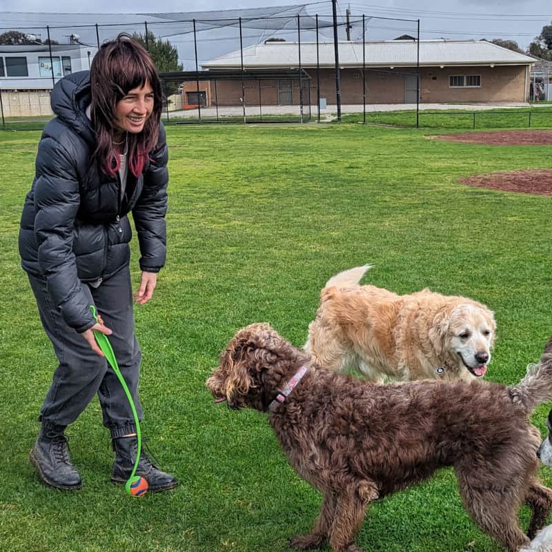 Dog walker Taylor